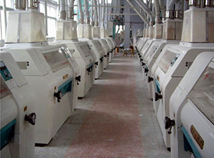 產品名稱：磨粉車間2
產品型號：
產品規(guī)格：